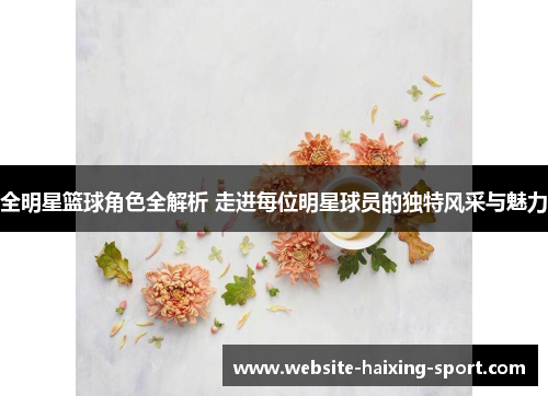 全明星篮球角色全解析 走进每位明星球员的独特风采与魅力