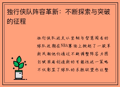独行侠队阵容革新：不断探索与突破的征程